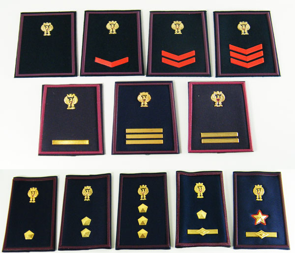 Gradi di polizia online