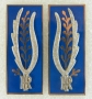 Alamari in metallo Polizia Penitenziaria