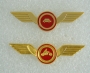 Ali guida veloce rosso