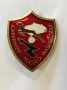 Distintivo Carabinieri Radiomobile
