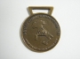 Medaglia Alluvione 2000