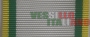 Nastrino Ufficiale Medico