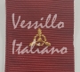 Nastrino motorista navale Guardia di Finanza